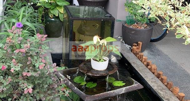 IMG-20200812-WA0016