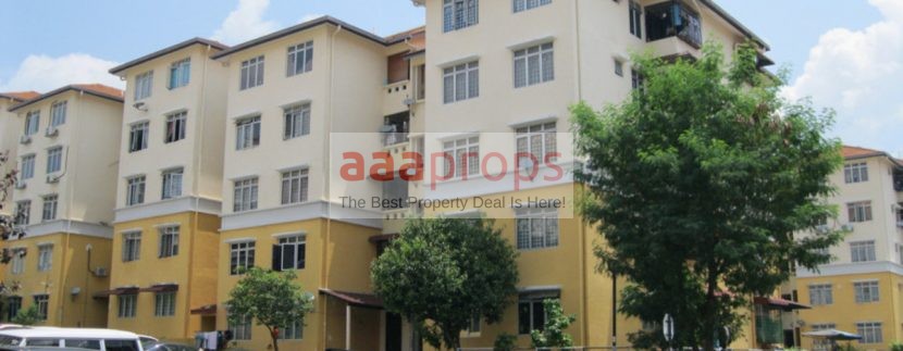 propsocial_sribaiduriapt3_large