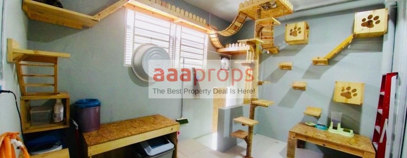 -6102514934496733808_121