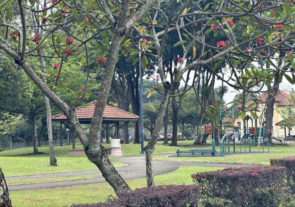 list-75072-21-67f1d20cc71615.60305699