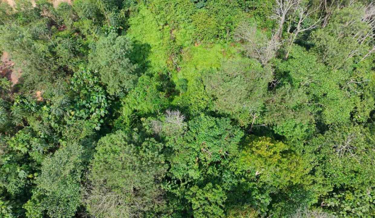 Development Land For Sale At Sg Merab Bandar Baru Bangi (14)