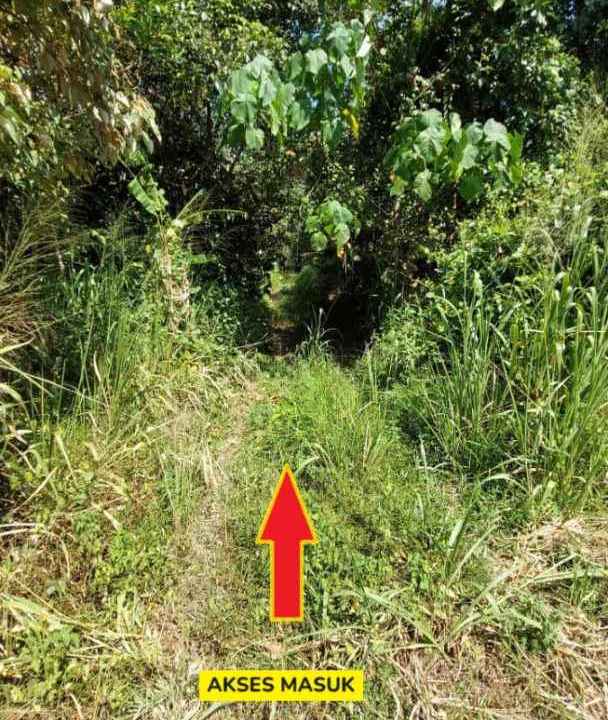 Tanah Rata 4 Ekar Sungai Merab (1)